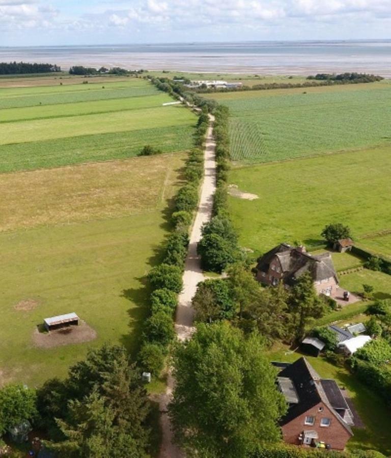 Ferienwohnung Halligblick Nieblum Bagian luar foto